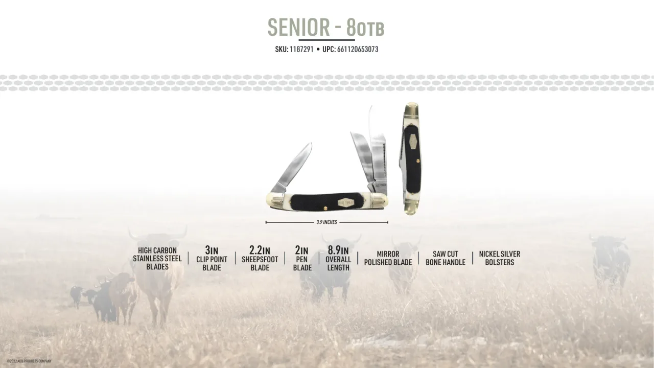 Página 46 de Old Timer 2023