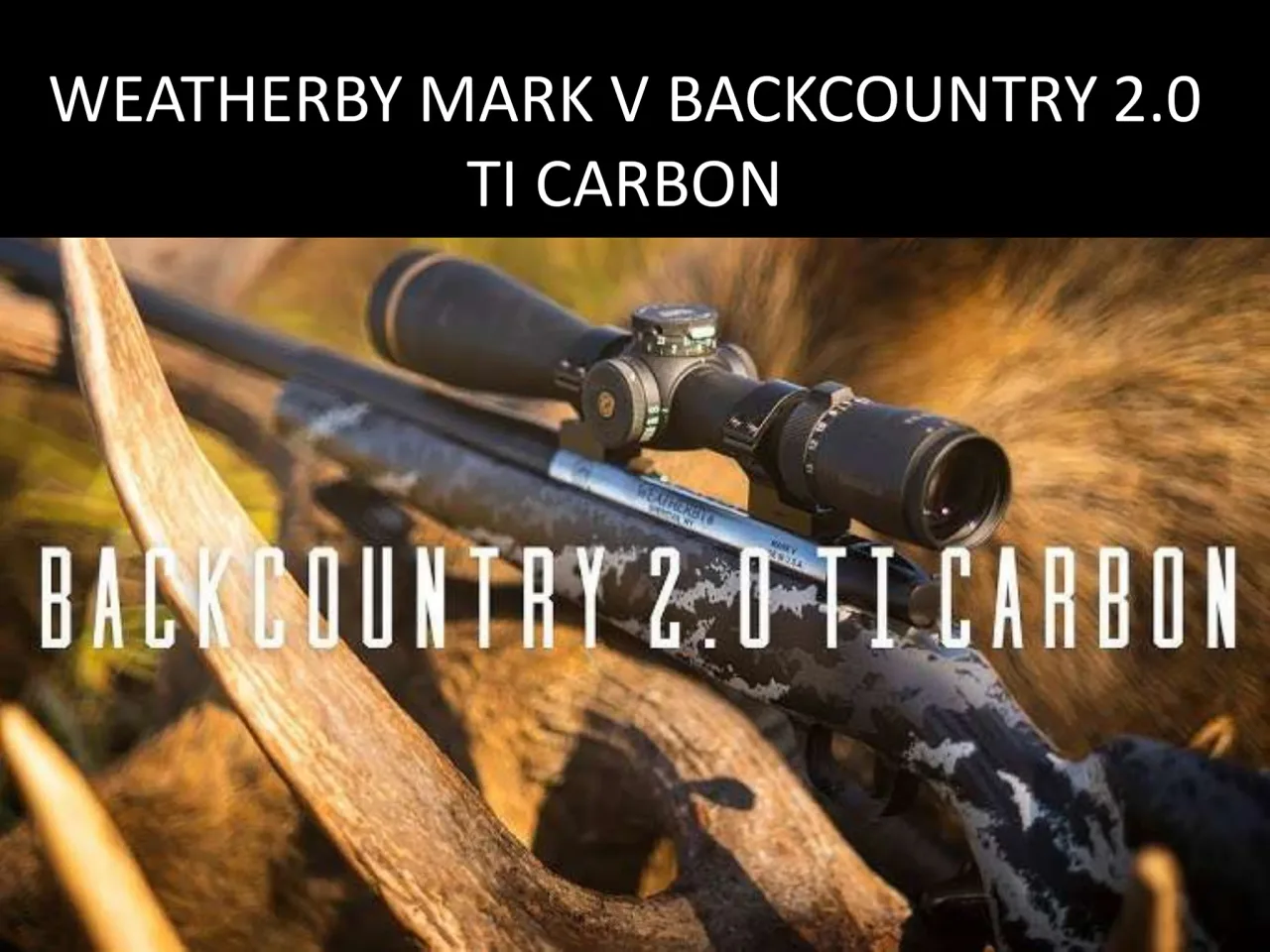 Página 11 de Weatherby 2026
