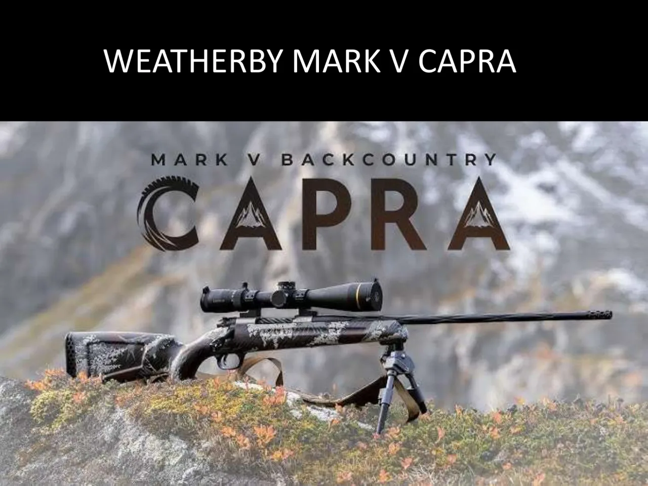 Página 16 de Weatherby 2026