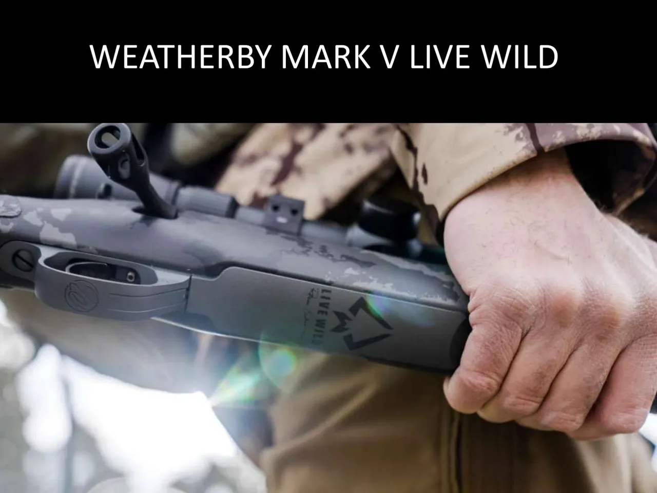 Página 18 de Weatherby 2026