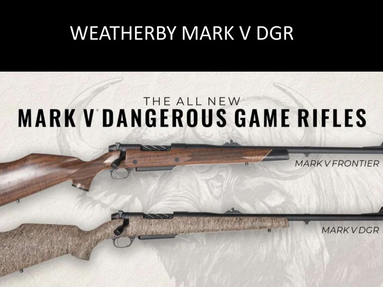 Página 22 de Weatherby 2026