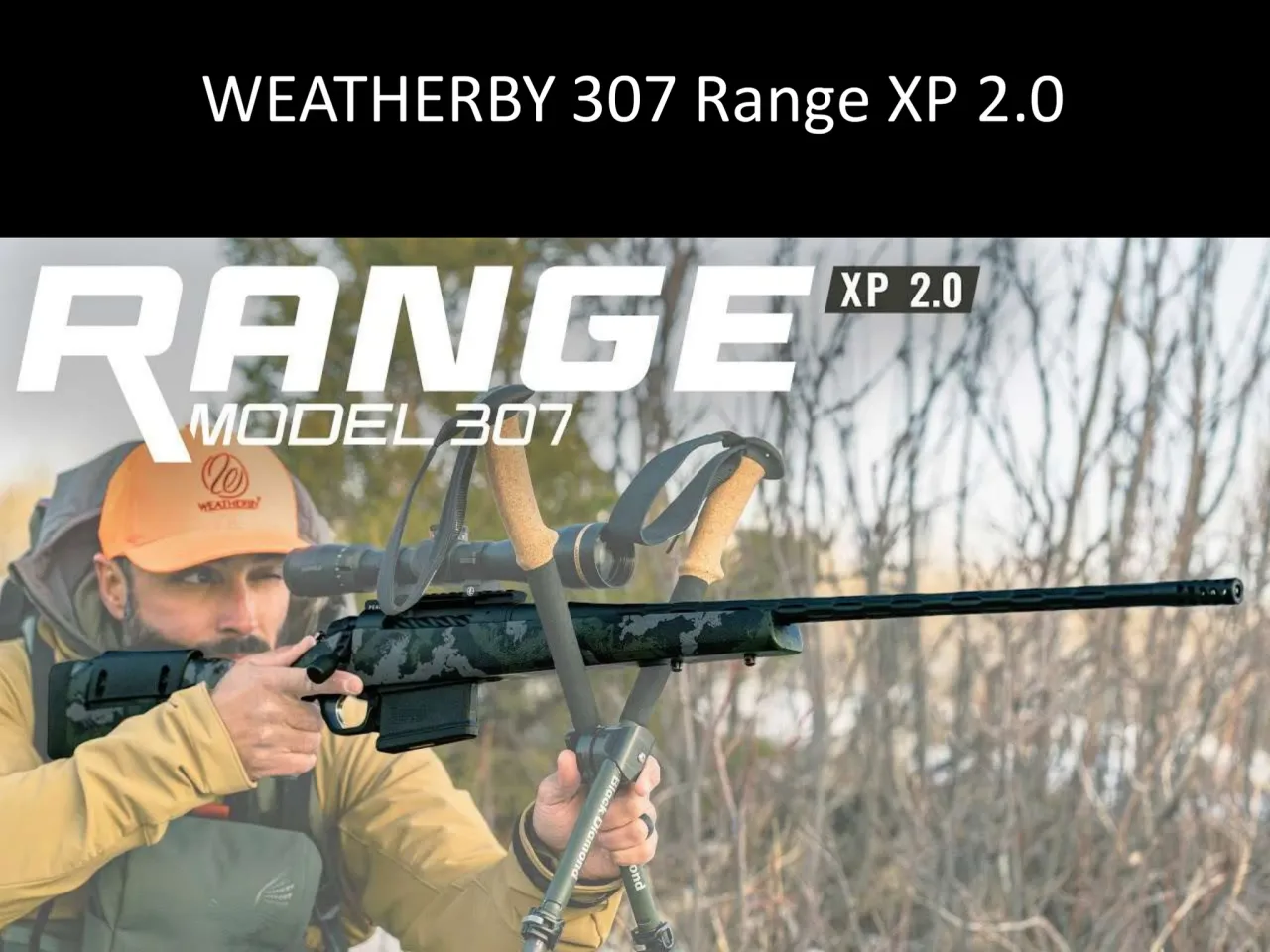 Página 31 de Weatherby 2026