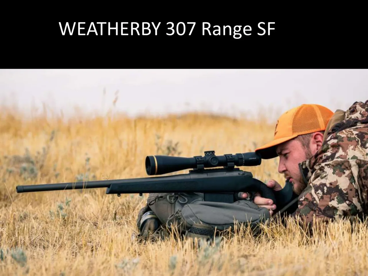 Página 33 de Weatherby 2026