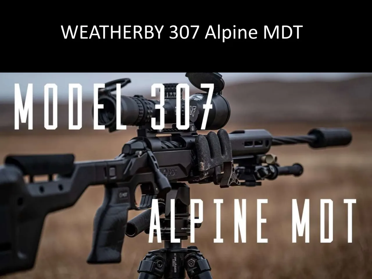 Página 37 de Weatherby 2026