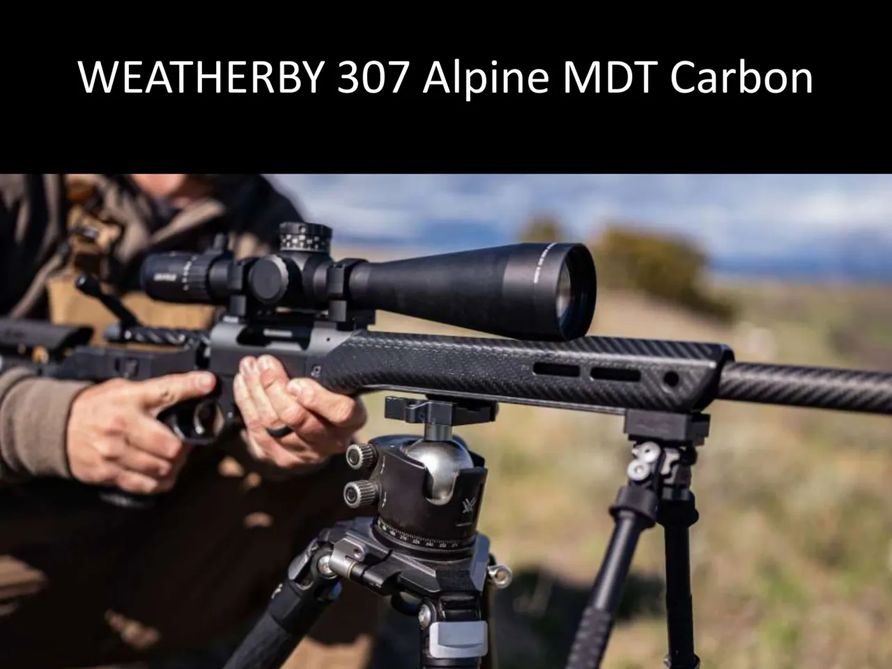 Página 39 de Weatherby 2026