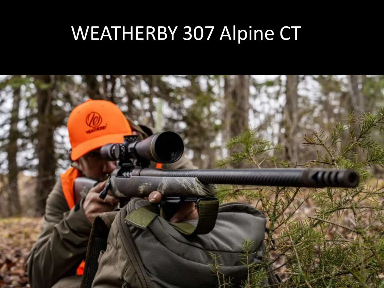 Página 41 de Weatherby 2026