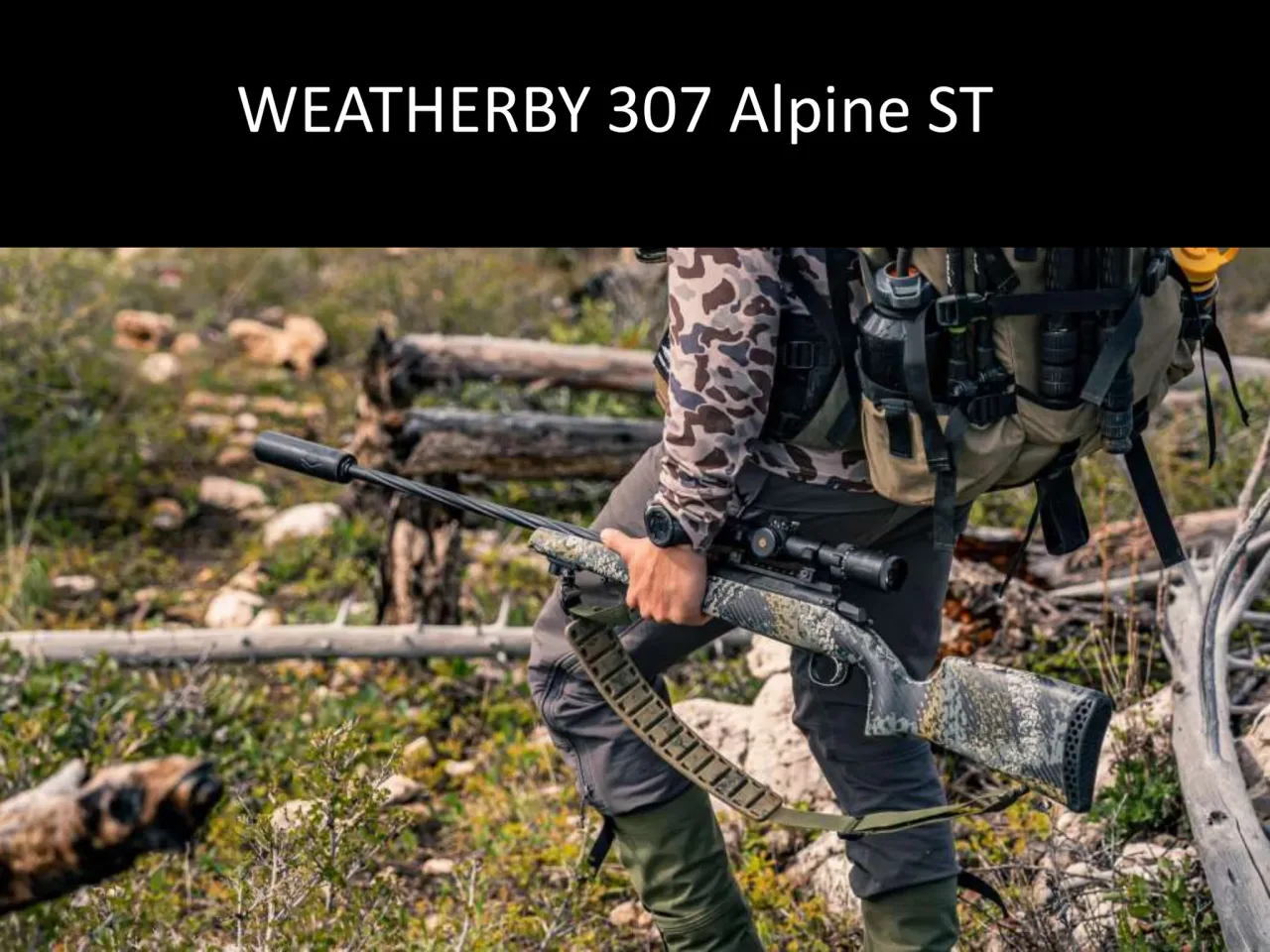 Página 43 de Weatherby 2026