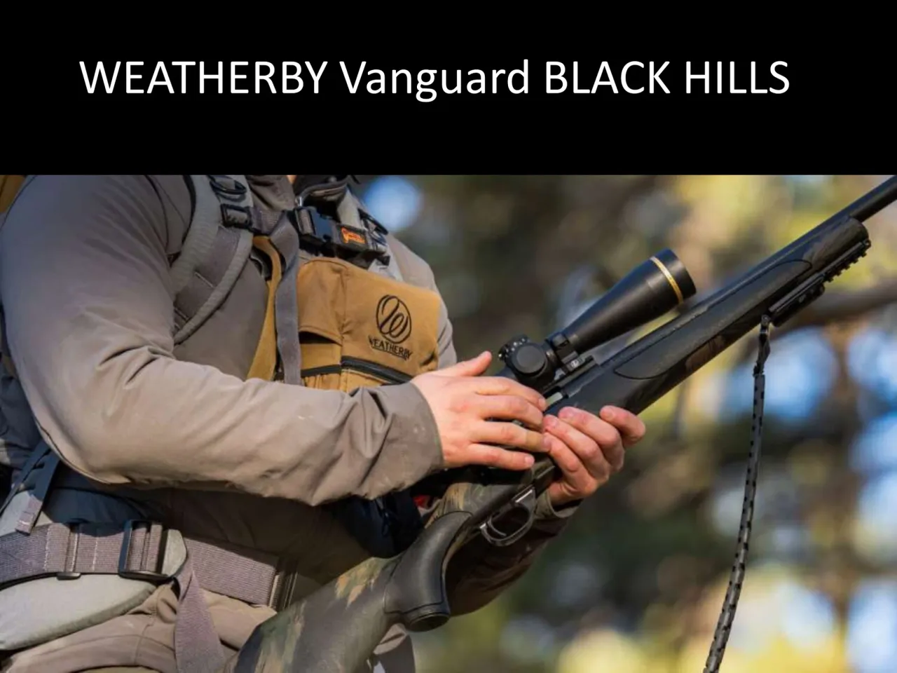 Página 49 de Weatherby 2026