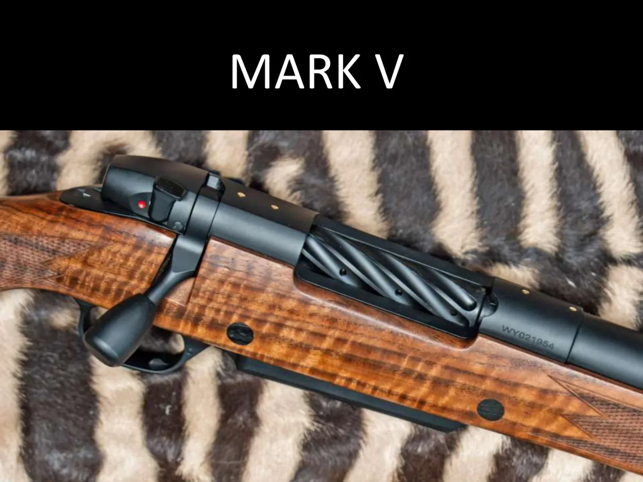 Página 5 de Weatherby 2026