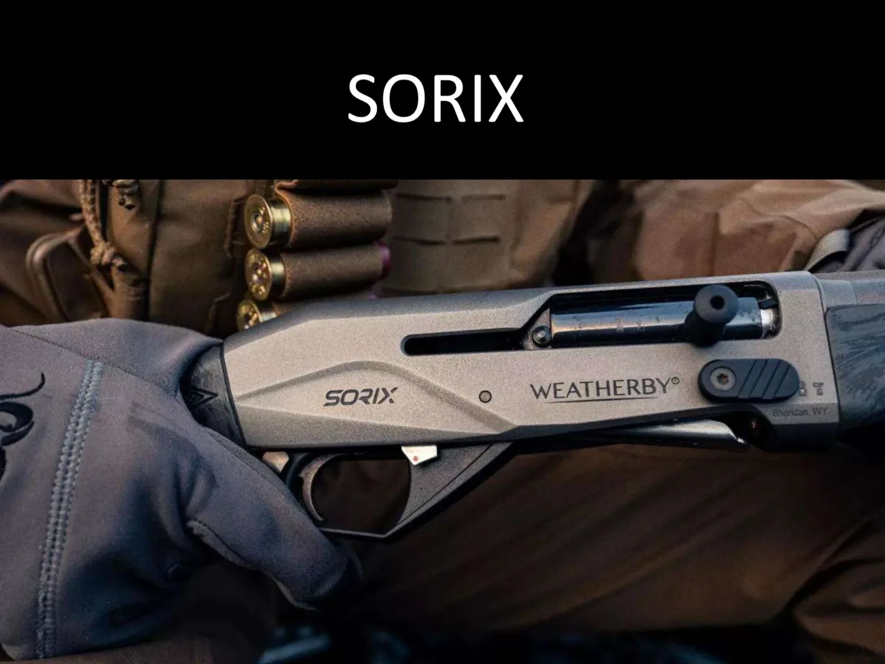 Página 51 de Weatherby 2026