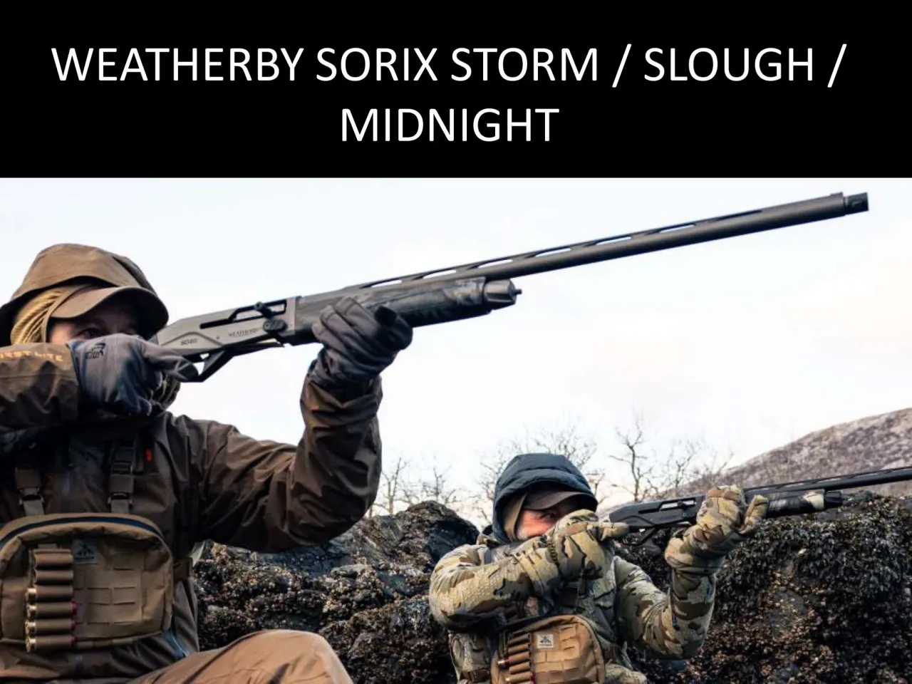 Página 53 de Weatherby 2026