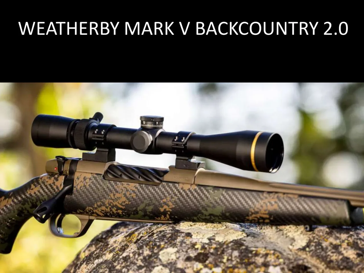 Página 7 de Weatherby 2026