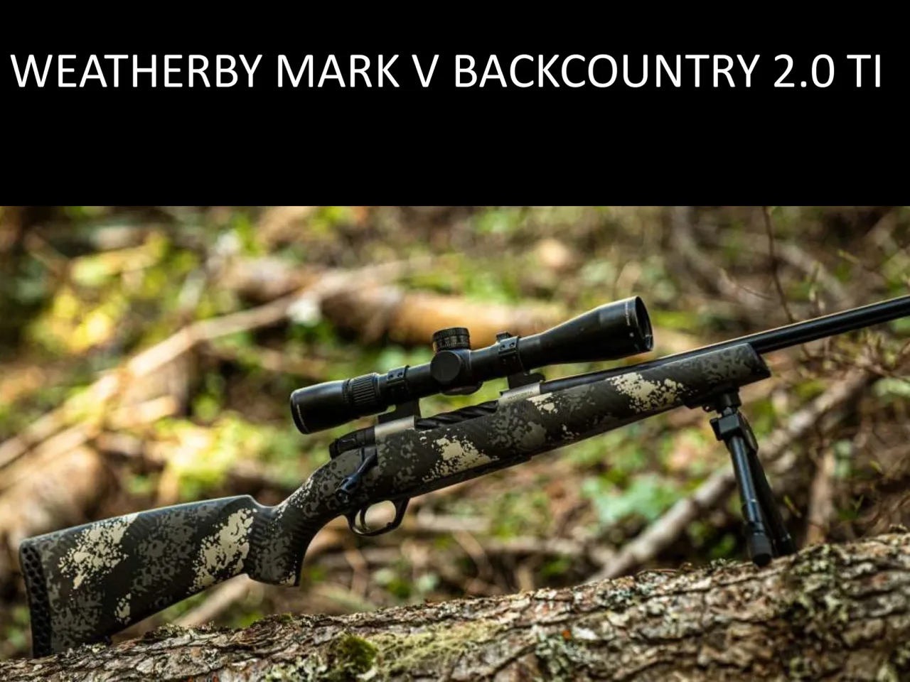 Página 9 de Weatherby 2026
