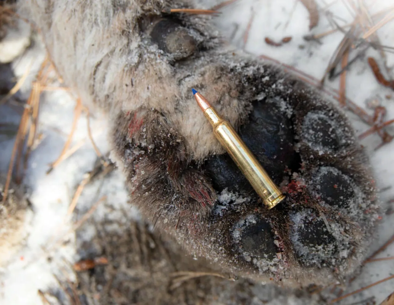 Página 30 de Weatherby