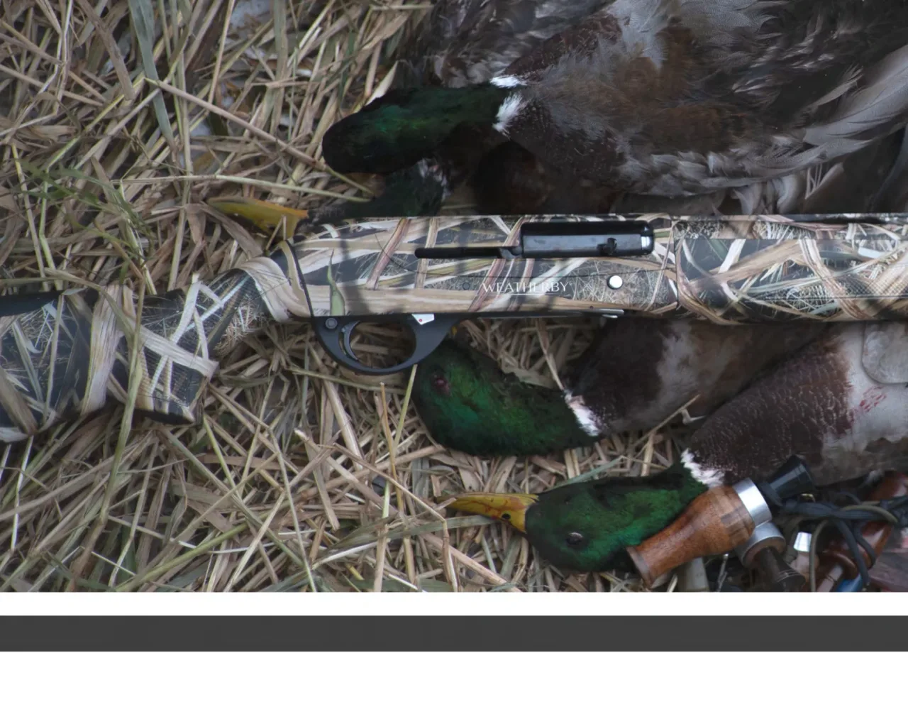 Página 42 de Weatherby