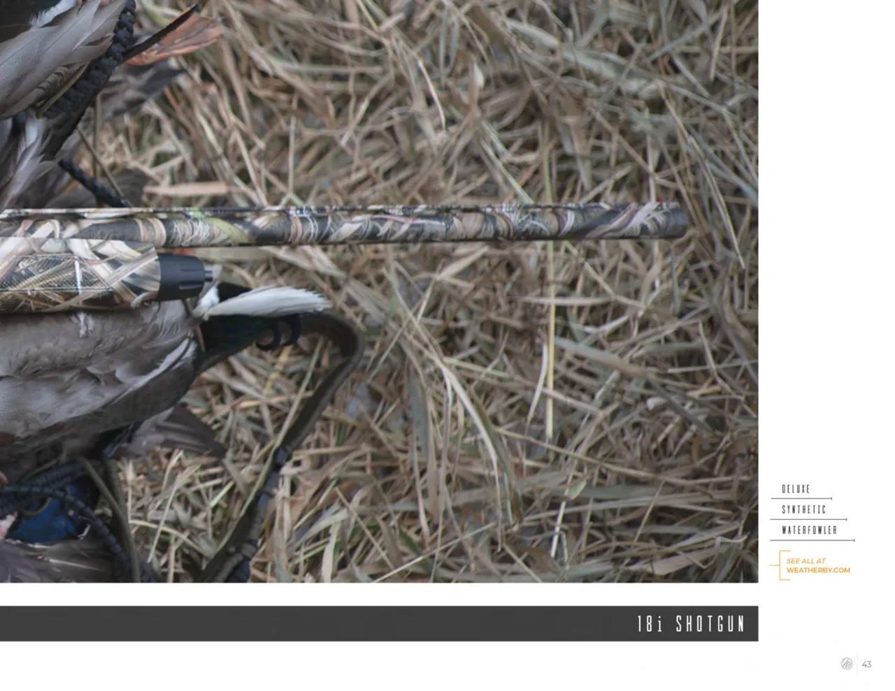 Página 43 de Weatherby